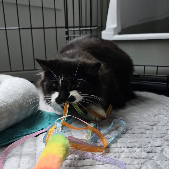 Photo of Mrs Tux