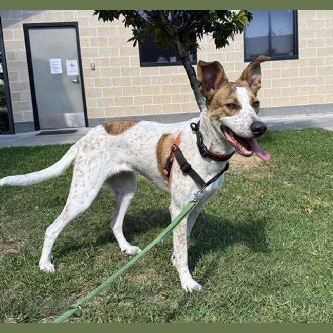 Photo of Kaylee