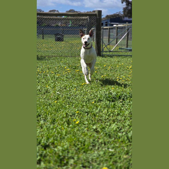 Photo of Jasmine