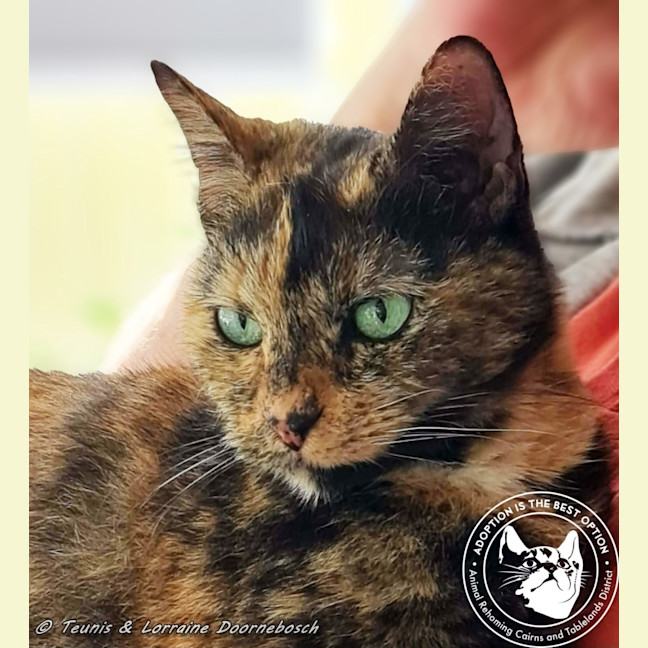 Photo of Eagless And Weston