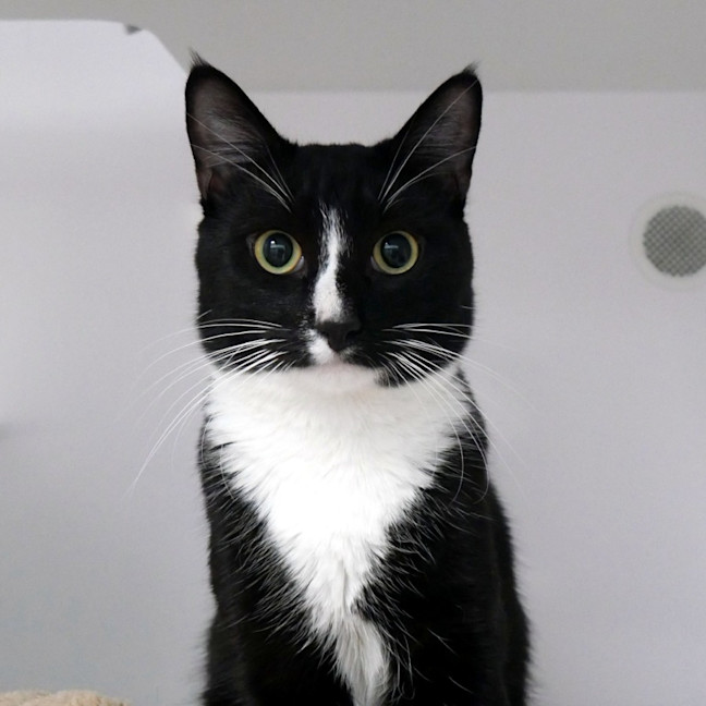 Photo of Tom Sta014495