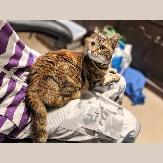 Photo of Princess Poppy