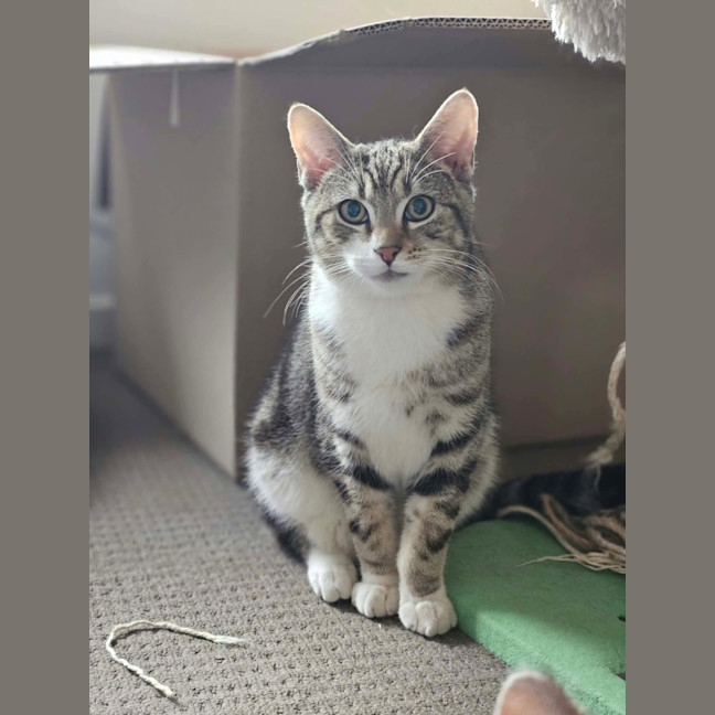 Photo of Jake