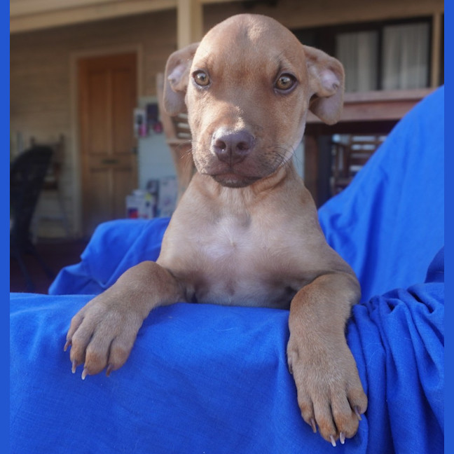 Photo of Ares