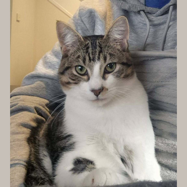 Photo of Flip
