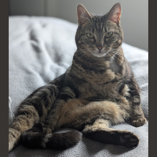 Photo of Zeus