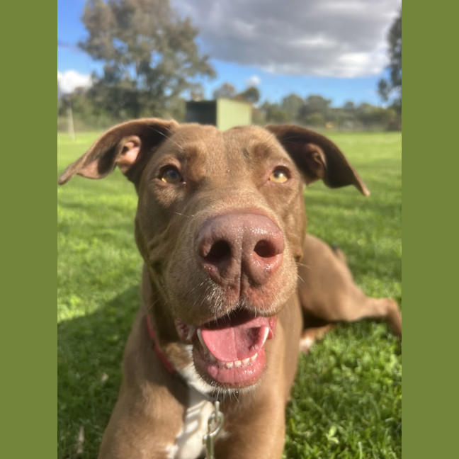 Photo of Zoe
