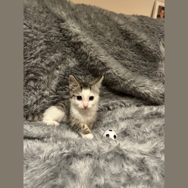 Photo of Moxie