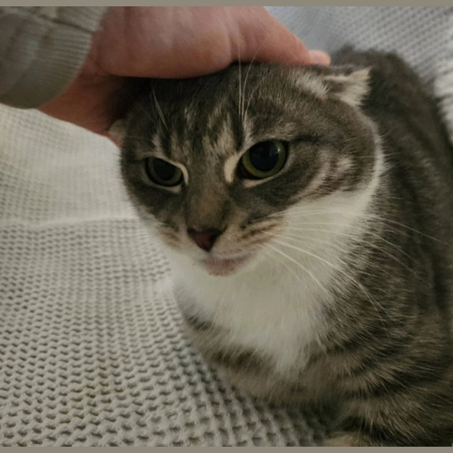 Photo of Dakota