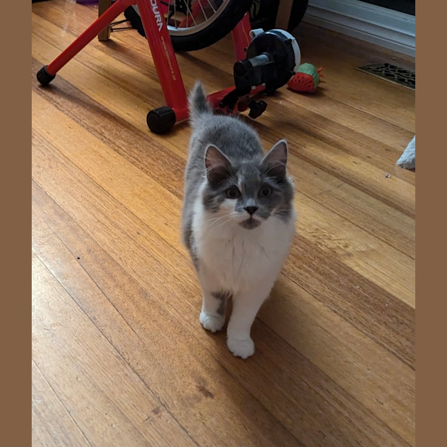 Photo of Kit Kat