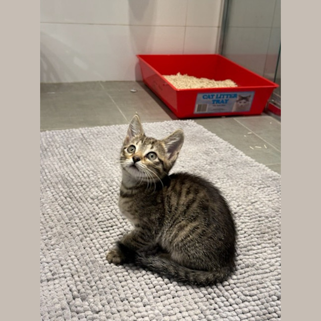 Photo of Betty Lou Who