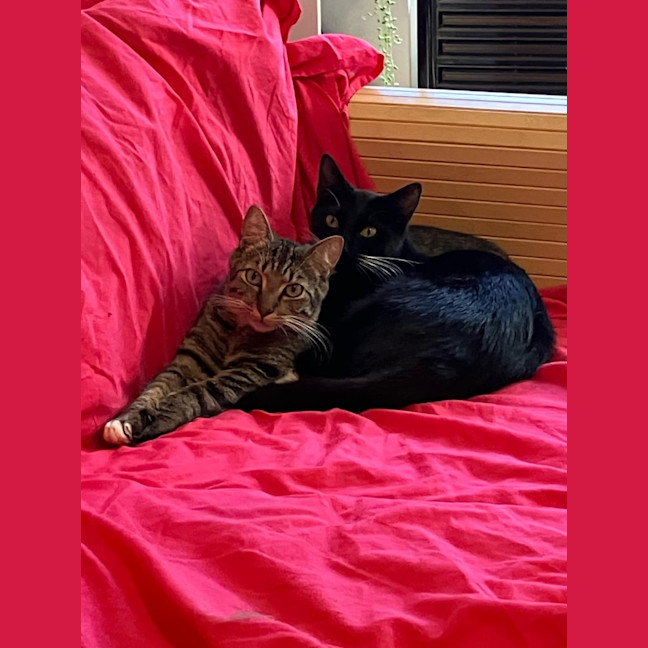 Photo of Coco And Mocha 