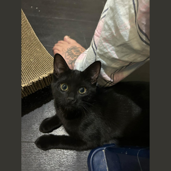 Photo of Monty