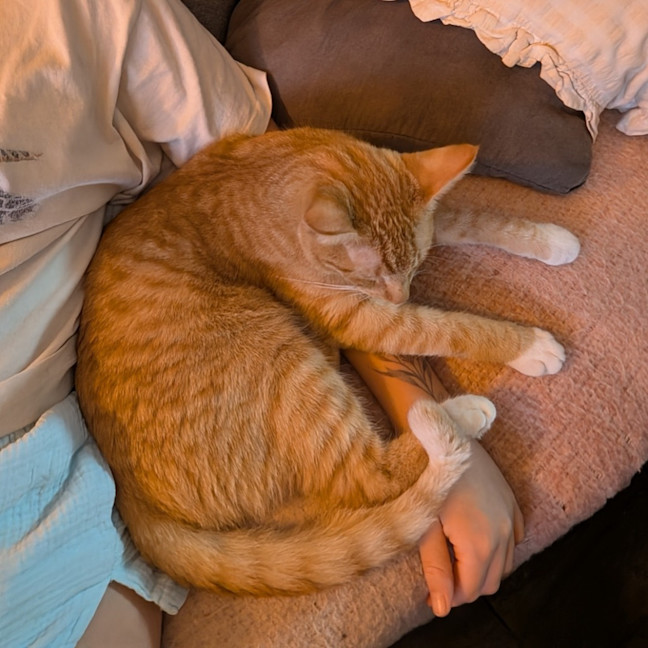 Photo of Griffin