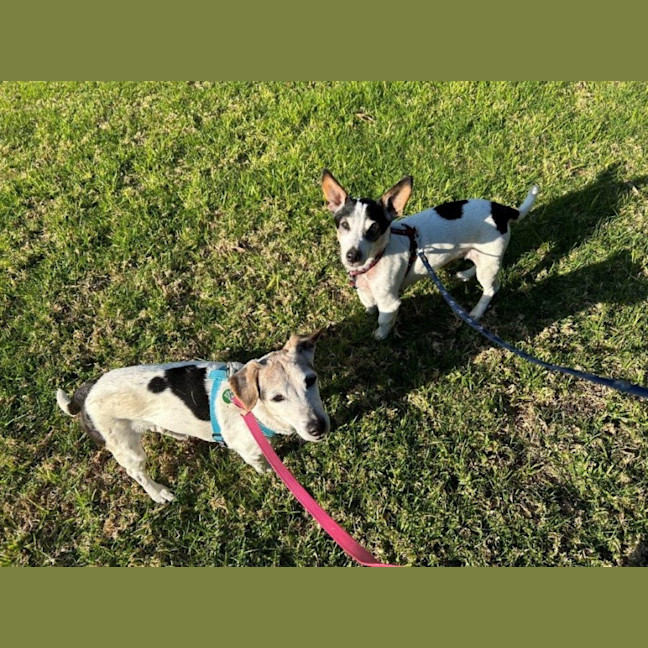 Photo of Ruby And Vincent Silvanus