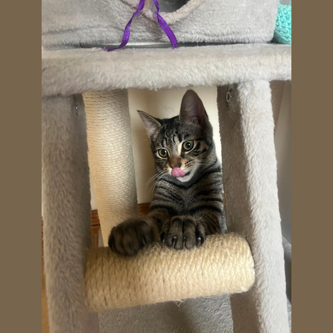 Photo of Frankie