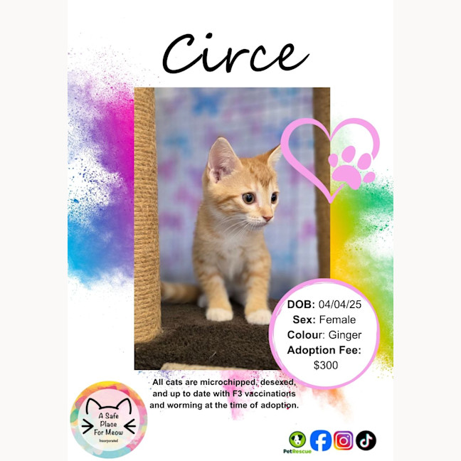 Photo of Circe`