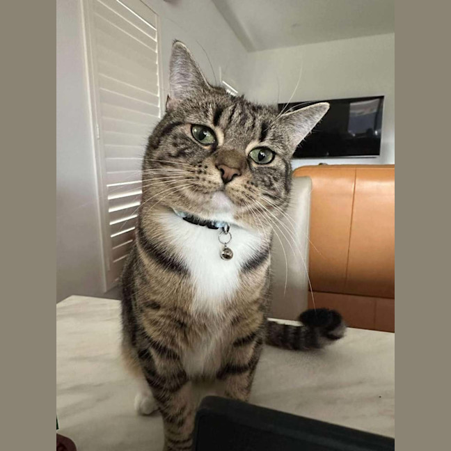 Photo of Tessa