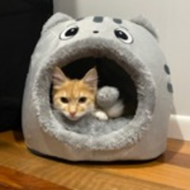 Photo of Mitzi