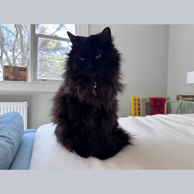 Photo of Sootie Uffelman