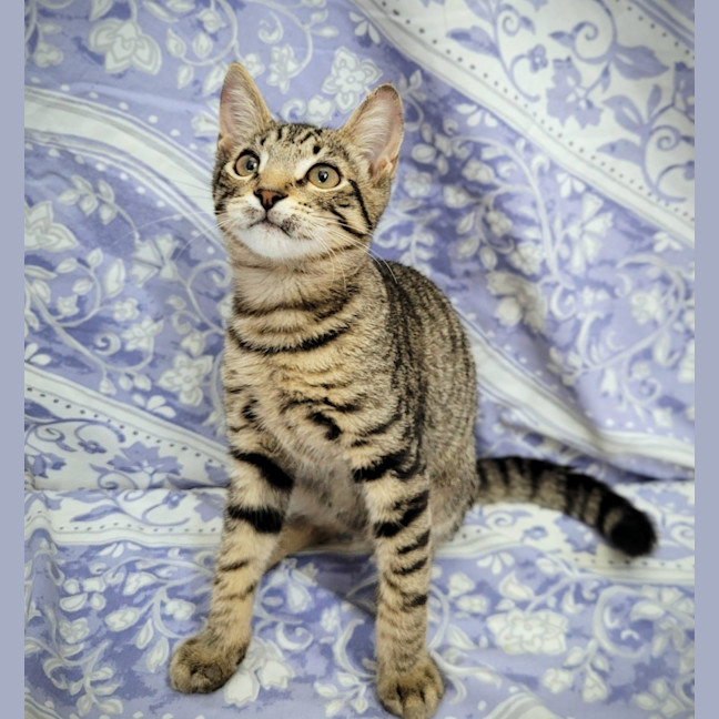 Photo of Breadcrumb 🍞🍞