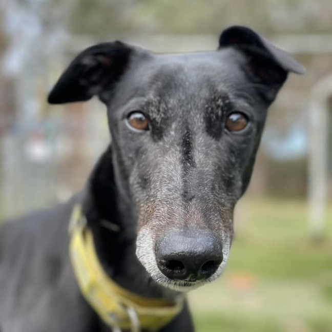 Photo of Ria (Prev. Fragaria)