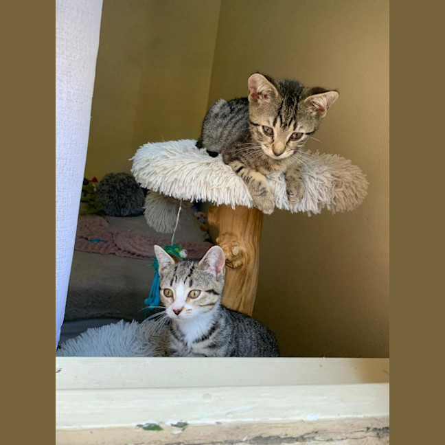 Photo of Bean & Munchkin