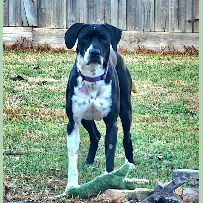 Photo of Maggie