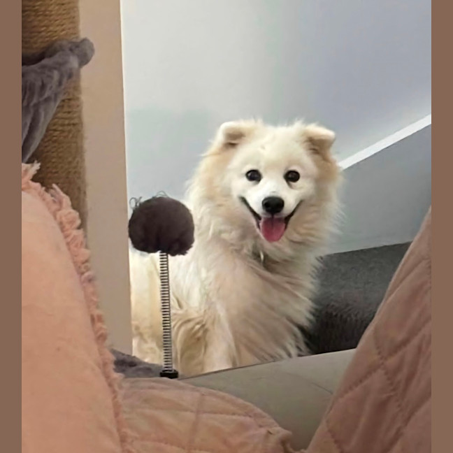 Photo of Keiko