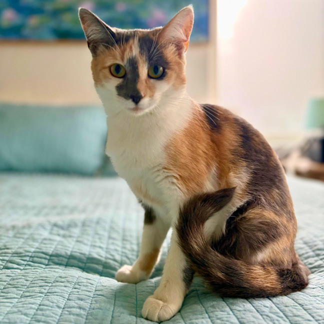 Photo of Keetu