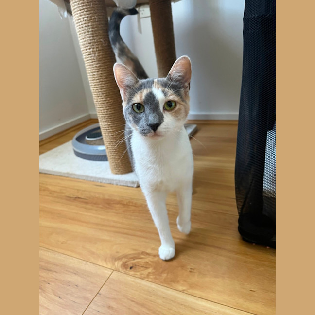 Photo of Elise