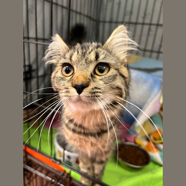 Photo of Prudence
