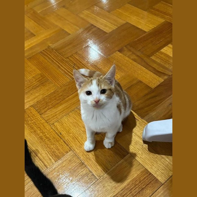 Photo of Eren