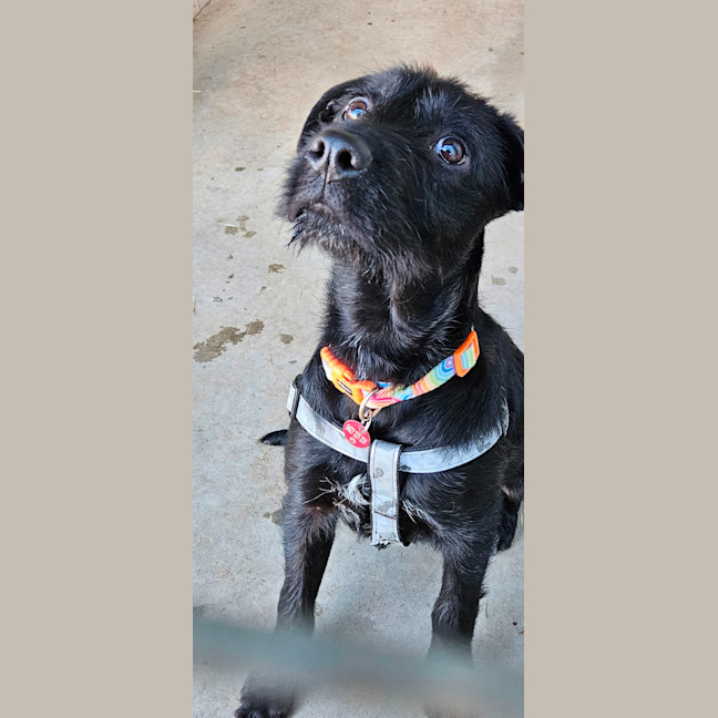 Photo of Maisey