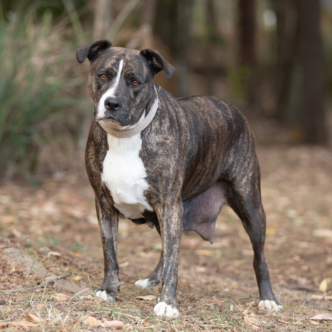 Photo of Coco