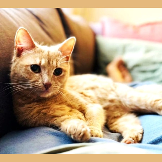 Photo of Abigail   Located In Fairfield