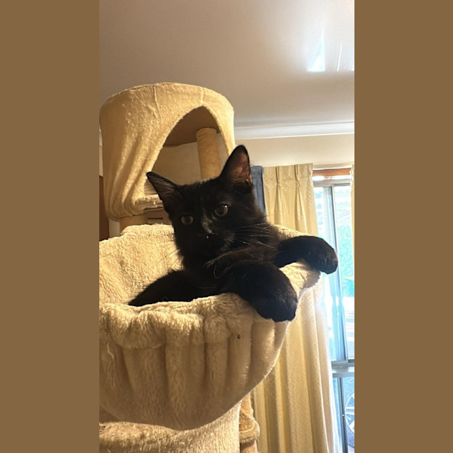 Photo of Zuzu