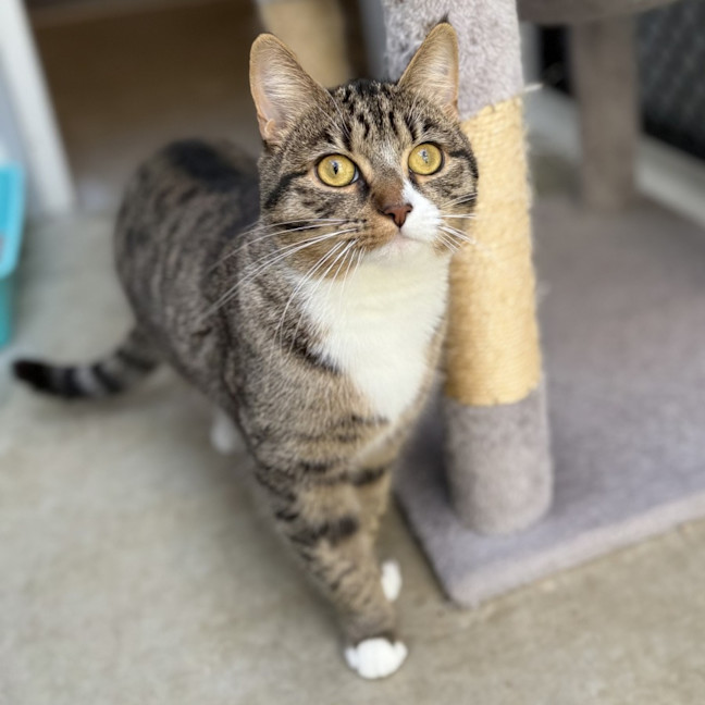 Photo of Phoebe