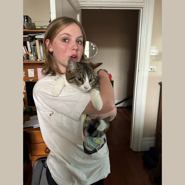 Photo of Cherry And Blossom