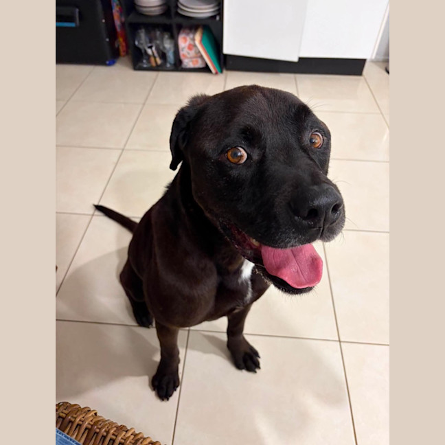 Photo of Axel
