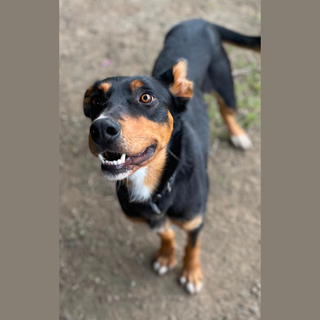 Photo of Reggie 
