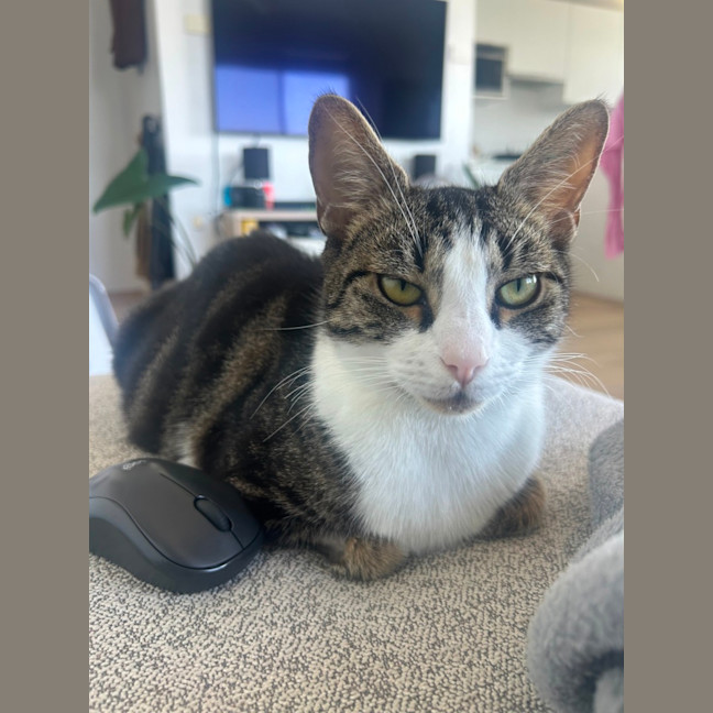 Photo of Blair Waldorf