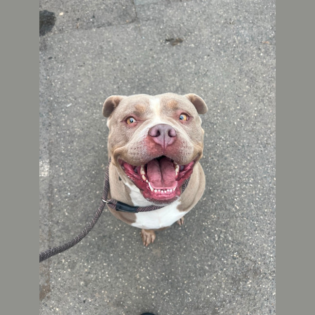 Photo of Luna