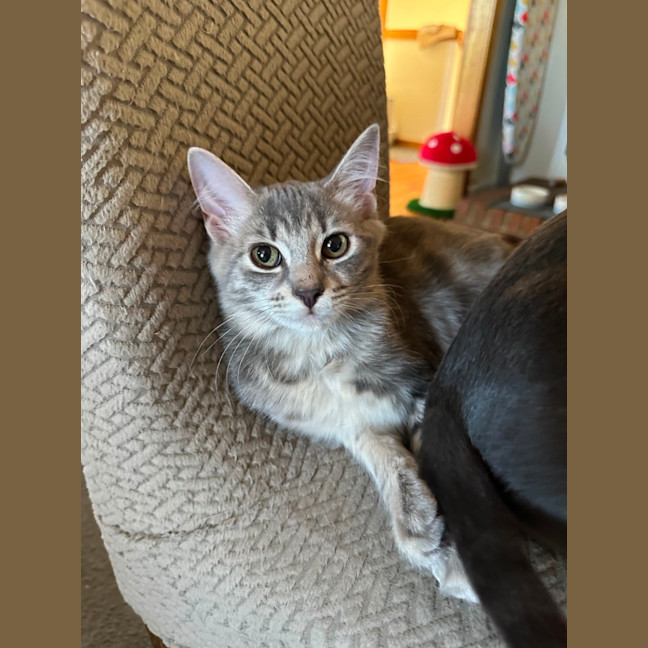 Photo of Jadzia