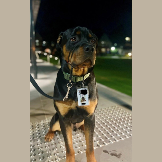 Photo of Lucky Newhaven