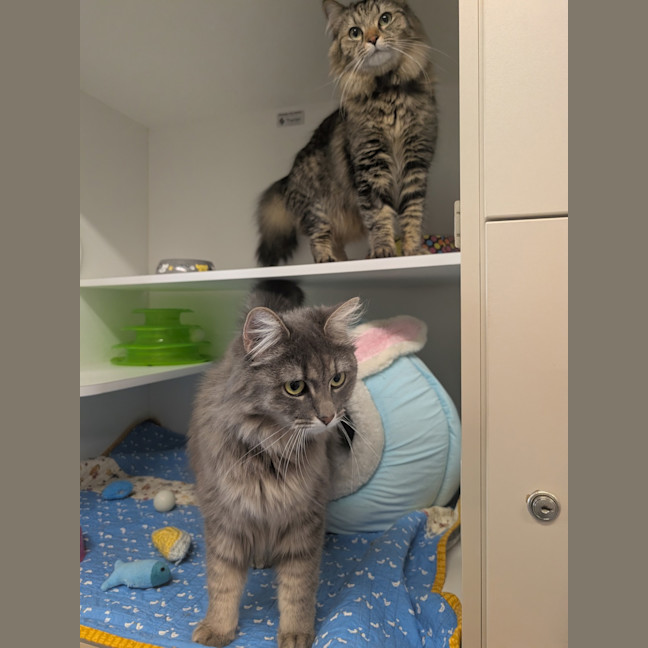 Photo of Bonny & Clyde