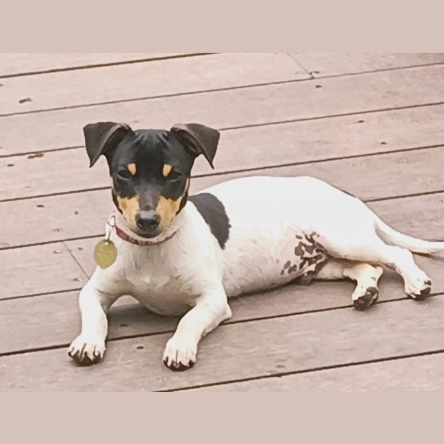 Photo of Hurkle Durkle