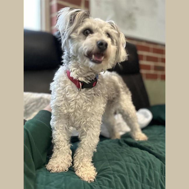Photo of Sunny