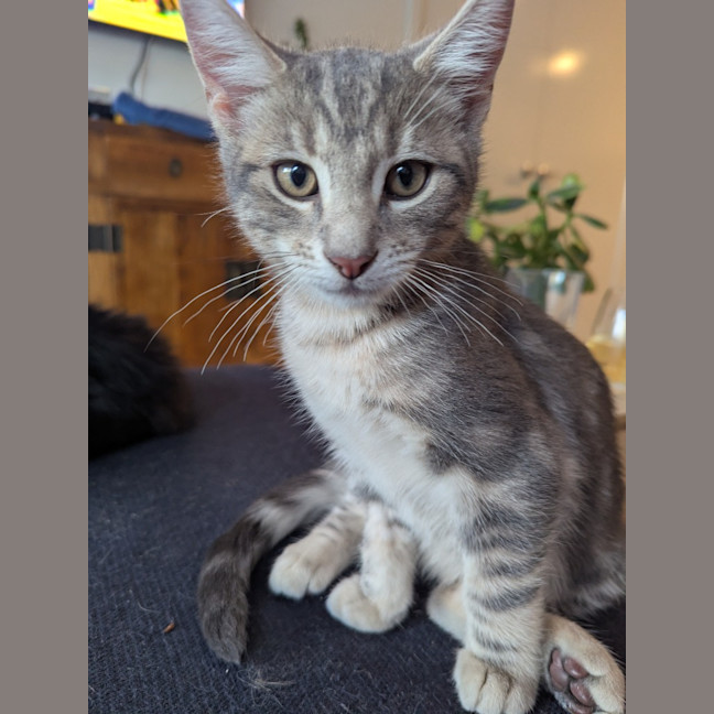 Photo of Hugo Scotty