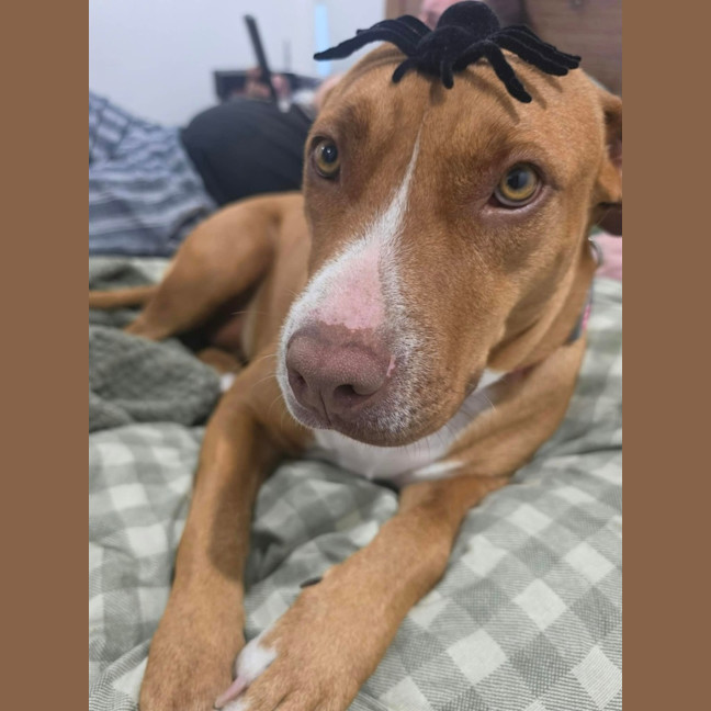 Photo of Meg